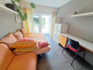 Pronájem bytu 1+kk, Zlín, 20 m2