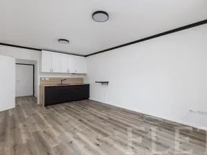 Pronájem bytu 1+kk, Praha - Smíchov, Pod Barvířkou, 36 m2
