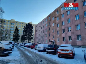 Prodej bytu 3+kk, Havířov - Podlesí, Družstevnická, 65 m2