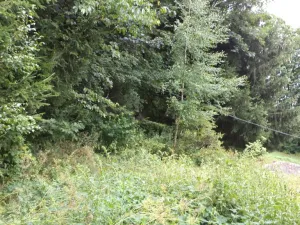 Prodej pozemku, Svoboda nad Úpou, 947 m2