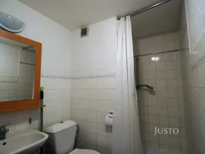 Pronájem bytu 1+1, Písek, třída Přátelství, 36 m2