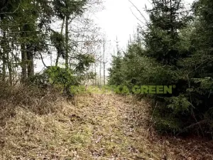 Prodej lesa, Konice, 3343 m2