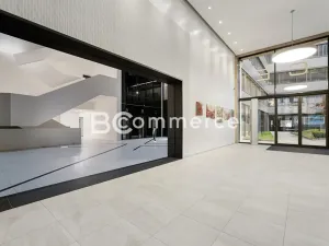 Pronájem kanceláře, Brno, 310 m2