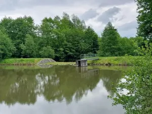 Pronájem rybníku, Slopné, 4871 m2