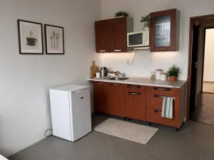 Pronájem bytu 1+kk, Klatovy, U Slunce, 22 m2