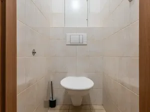 Pronájem bytu 2+kk, Kolín, Mlýnská, 57 m2