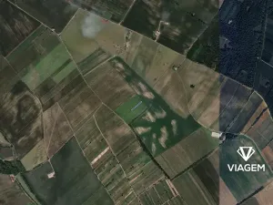 Prodej pole, Prušánky, 1175 m2