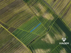 Prodej pole, Prušánky, 1175 m2