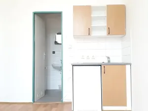 Pronájem ordinace, Plzeň, Purkyňova, 15 m2