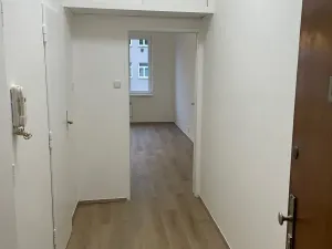 Pronájem bytu 1+kk, Praha - Nusle, Kloboučnická, 28 m2