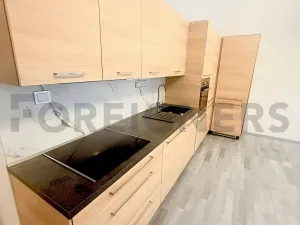 Pronájem bytu 2+kk, Brno, Merhautova, 65 m2