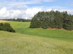 Prodej pozemku, Dolní Dobrouč, 34731 m2