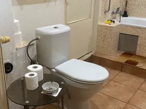 Prodej rodinného domu, Líský, 250 m2