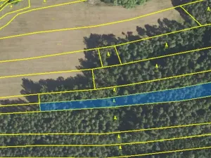 Prodej lesa, Lišany, 5889 m2