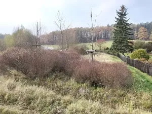 Prodej pozemku, Lázně Bělohrad, 1005 m2