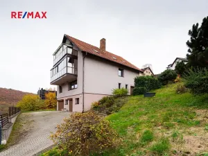 Prodej komerční nemovitosti, Měchenice, Hlavní, 330 m2