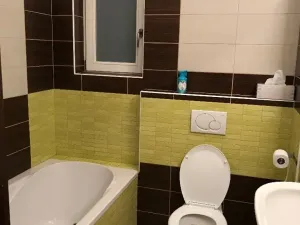 Pronájem bytu 2+kk, Brno, Kounicova, 52 m2