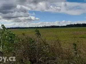 Dražba sadu/vinice, Lišany, 24161 m2