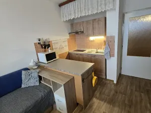 Prodej bytu 1+kk, Praha - Chodov, Majerského, 29 m2