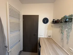 Pronájem bytu 3+kk, Plzeň, U Velkého rybníka, 104 m2