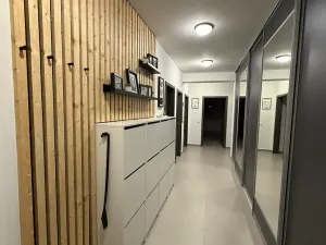 Pronájem bytu 3+kk, Plzeň, U Velkého rybníka, 104 m2