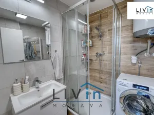 Pronájem bytu 1+kk, Olomouc, tř. Svornosti, 45 m2