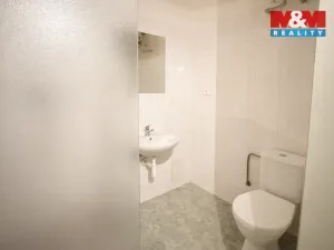 Prodej bytu 1+1, Písek - Budějovické Předměstí, Budějovická, 55 m2