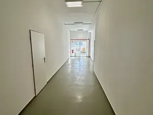 Prodej obchodního prostoru, Bystřice pod Hostýnem, Holešovská, 1592 m2