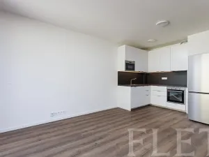 Pronájem bytu 2+kk, Praha - Žižkov, V domově, 50 m2