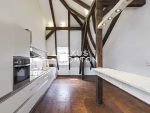 Pronájem bytu 4+1, Praha - Vinohrady, Ibsenova, 282 m2