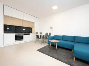 Pronájem bytu 2+kk, Brno, Grmelova, 51 m2