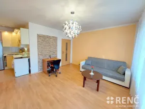 Pronájem bytu 2+kk, Brno, Sevastopolská, 46 m2