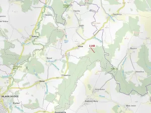 Dražba lesa, Vilice, 1105 m2