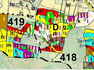 Dražba lesa, Pačejov, 1363 m2