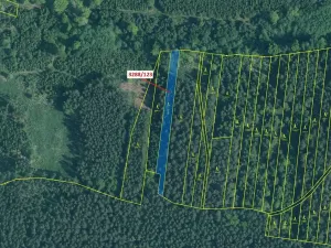 Dražba lesa, Hosty, 1707 m2