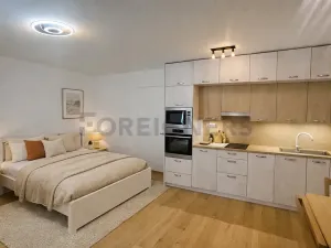 Pronájem bytu 1+kk, Brno, Bratislavská, 41 m2