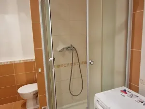 Pronájem bytu 1+kk, Plzeň, Jesenická, 32 m2