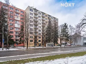 Prodej bytu 3+1, České Budějovice, Lidická tř., 65 m2