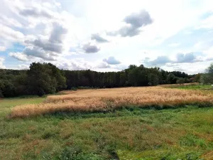 Prodej podílu pozemku pro bydlení, Doubrava, 12199 m2