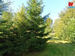 Prodej chalupy, Brandov, Rudé armády, 120 m2