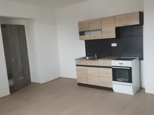 Pronájem bytu 1+kk, Chotěšov, Ořechová, 29 m2