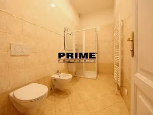 Pronájem bytu 6+kk a větší, Praha - Nové Město, Záhořanského, 265 m2