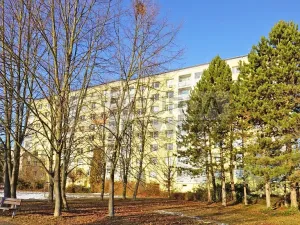 Prodej bytu 1+1, Neratovice, Na Výsluní, 39 m2