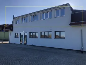 Pronájem bytu 6+kk a větší, Sokolov, Karla Havlíčka Borovského, 220 m2