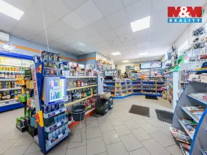 Prodej obchodního prostoru, Nová Role - Mezirolí, 120 m2