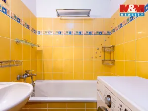 Prodej bytu 3+kk, Opava - Předměstí, Olomoucká, 63 m2