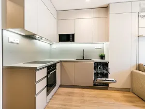 Pronájem bytu 1+kk, Brno, Bystrcká, 30 m2