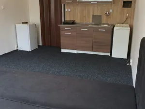 Pronájem bytu 1+kk, Příbram - Příbram VII, Jana Drdy, 29 m2