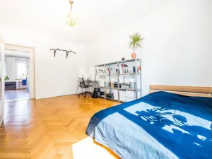 Pronájem bytu 2+kk, Ústí nad Labem - Střekov, Děčínská, 61 m2