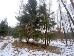 Prodej pozemku, Veliny, 1630 m2